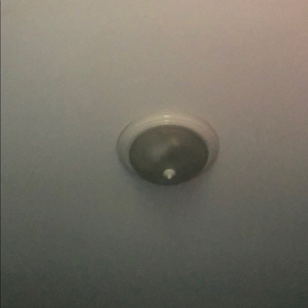 Meet your Posher, Frankie